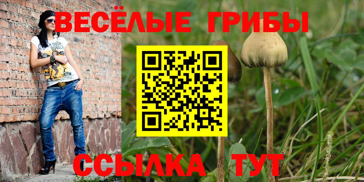 Псилоцибиновые грибы прущие грибы  Вход с VPN  Буйнакск 
