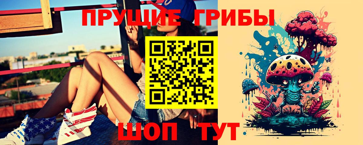 Галлюциногенные грибы Psilocybine cubensis Буйнакск